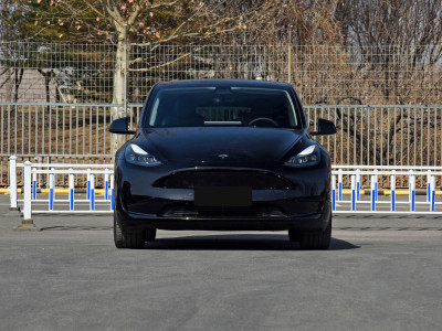 Tesla Model Y  Фото №2